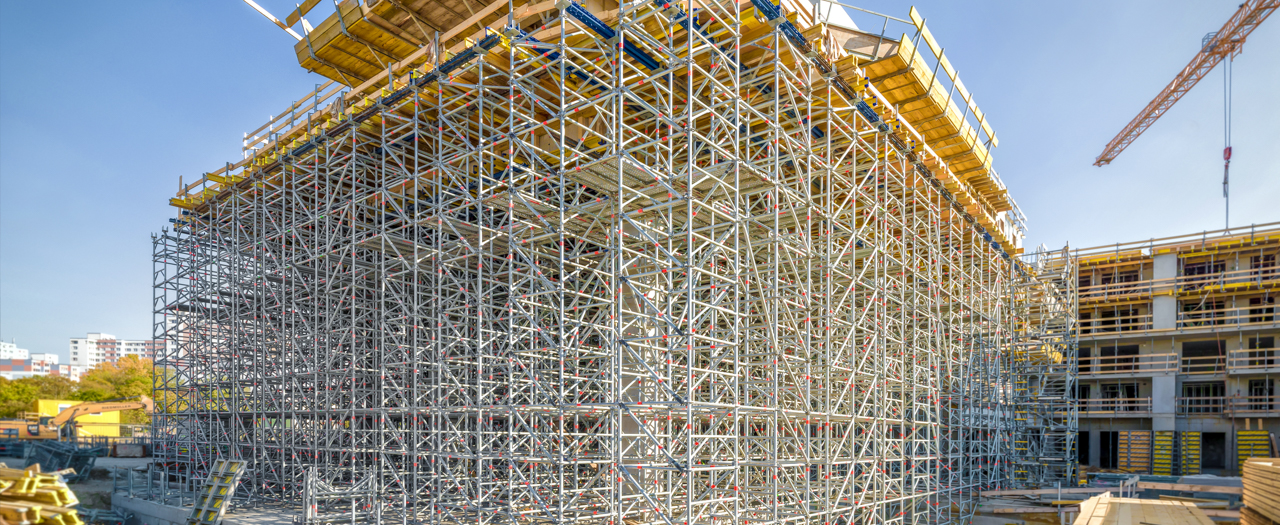 TG 60 2 - ULTRAESTRUCTURAS